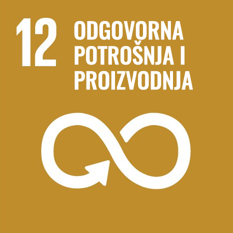 SDG 12