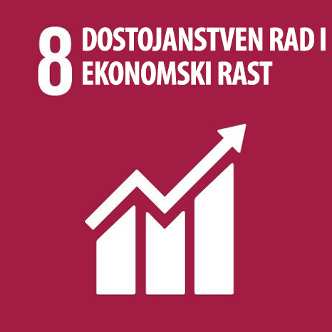 SDG 8